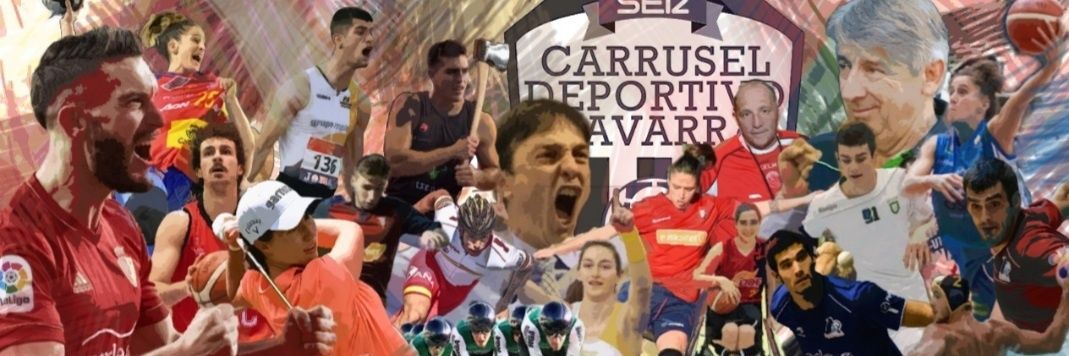 Carrusel Navarra's banner