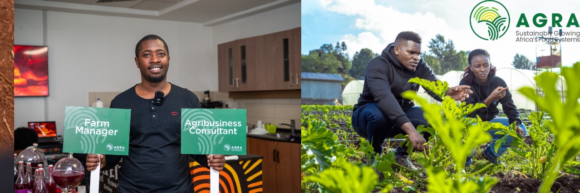 AGRA - Sustainably Growing Africa’s Food Systems.'s banner
