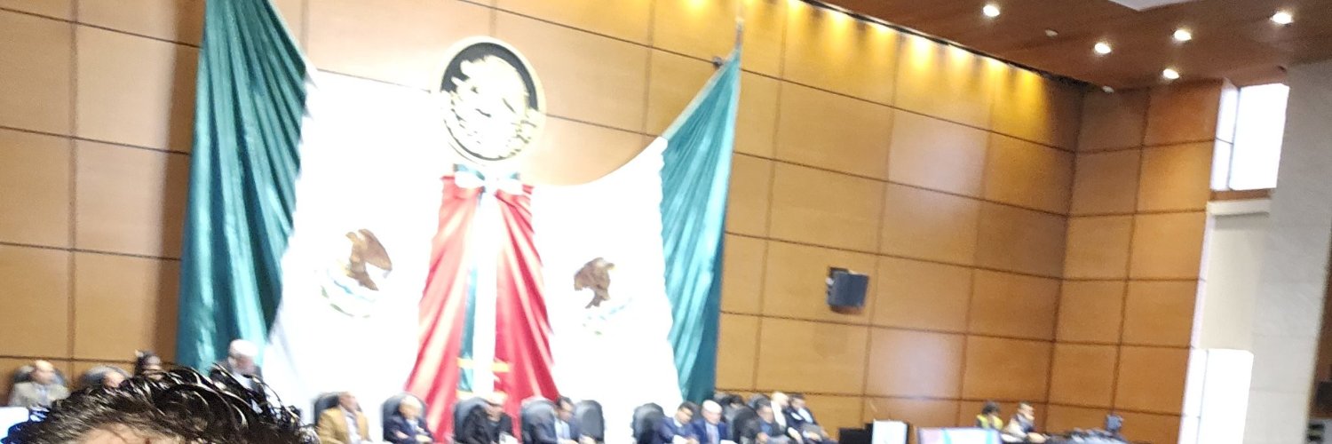 Jesús Alberto Tlaxcalteco T.'s banner