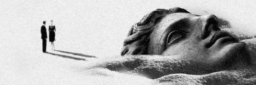 Natalia Nitek-Płażyńska's banner