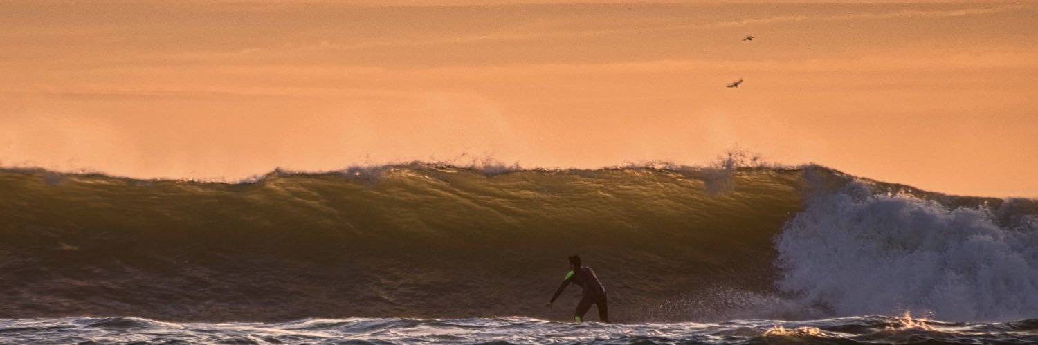 Nicolas Rougier 🤙's banner