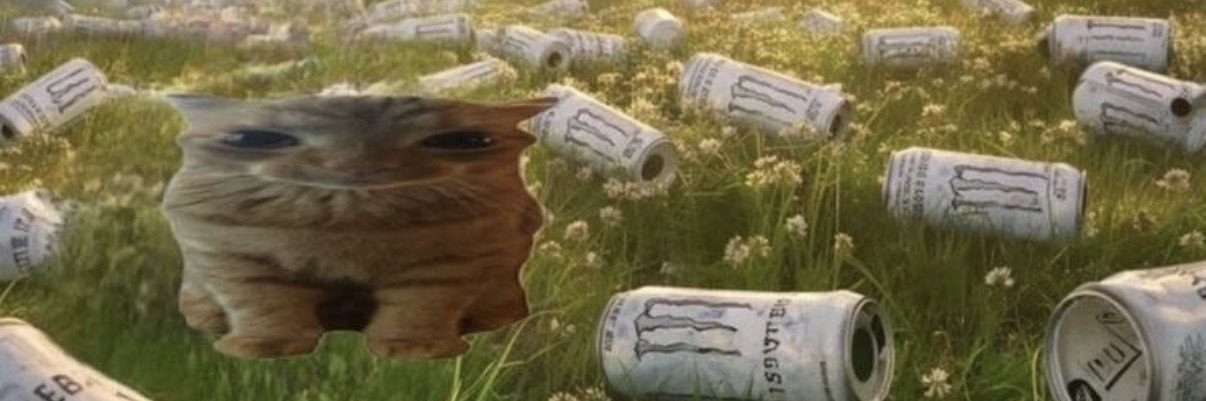 hayden's banner