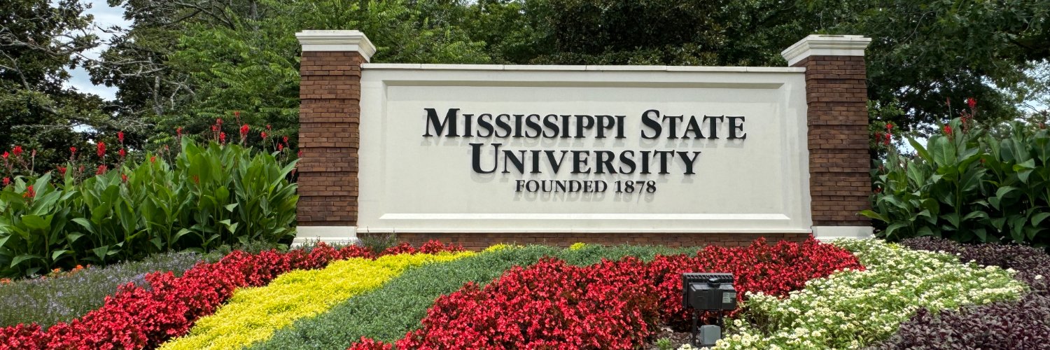 MSU Foundation's banner
