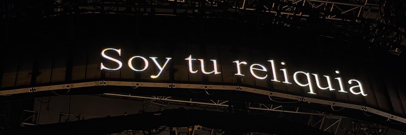 cerrejota 🧸's banner