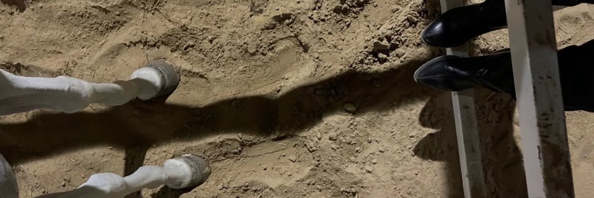 غادة's banner