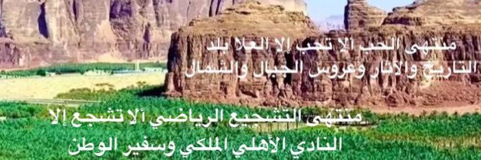 د/ محمد بن صالح الشيبي's banner