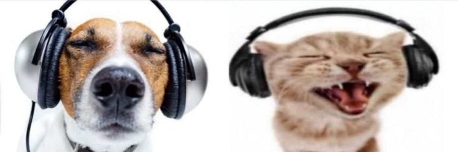 𝓚𝓪𝓻𝓲𝓶's banner