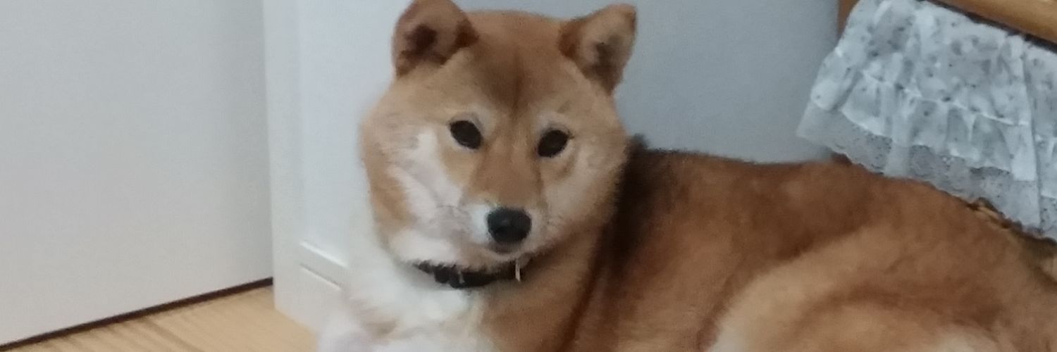 なつうり's banner