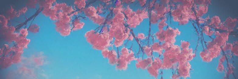 komal 🤸🏽‍♀️'s banner