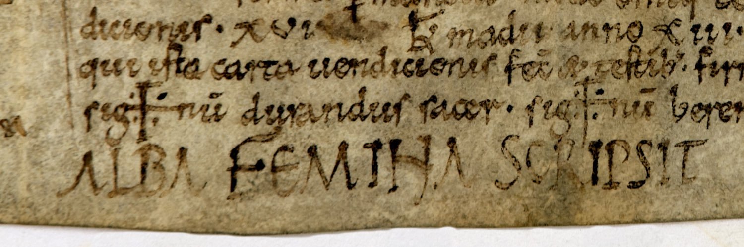 Tània Alaix i Gimbert's banner