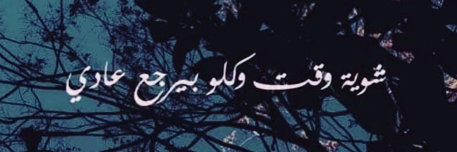 Sarkis's banner