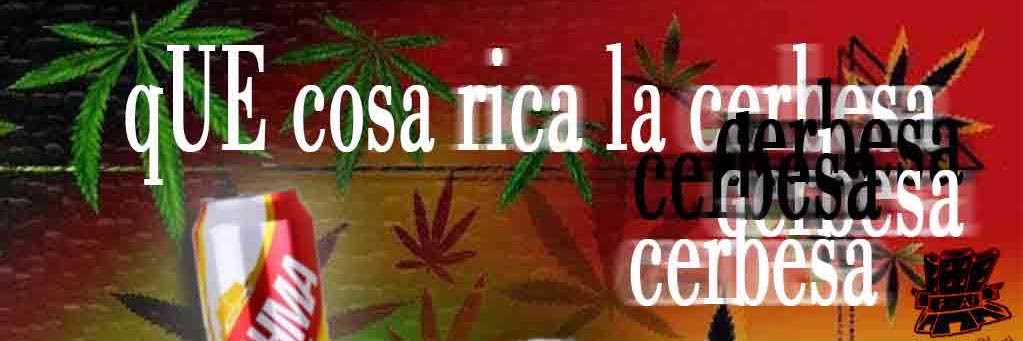 señorita X's banner