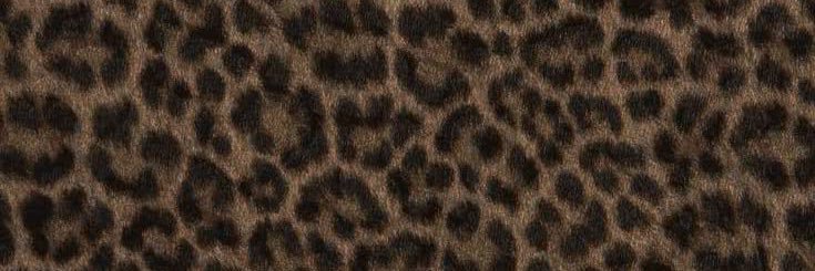 ☾'s banner
