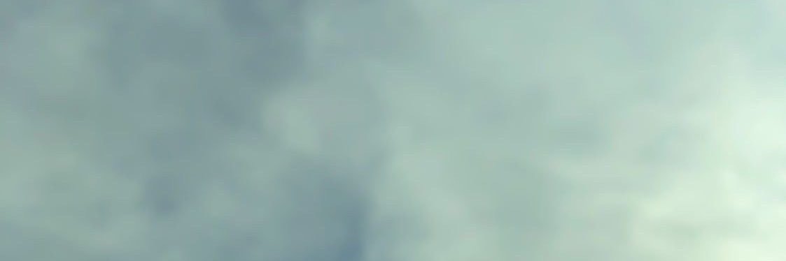 F.'s banner
