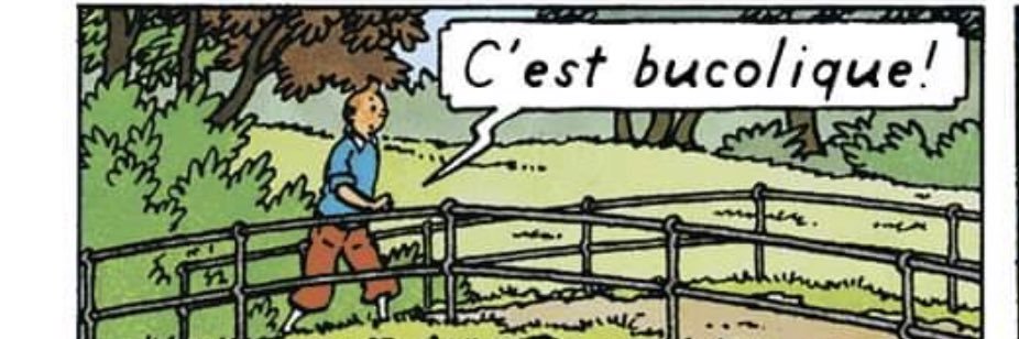 Baky Meïté's banner
