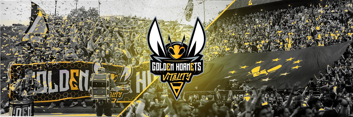 🐝 Golden Hornets 🐝's banner