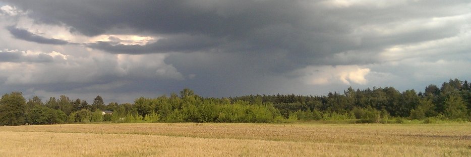 Flat Lander's banner