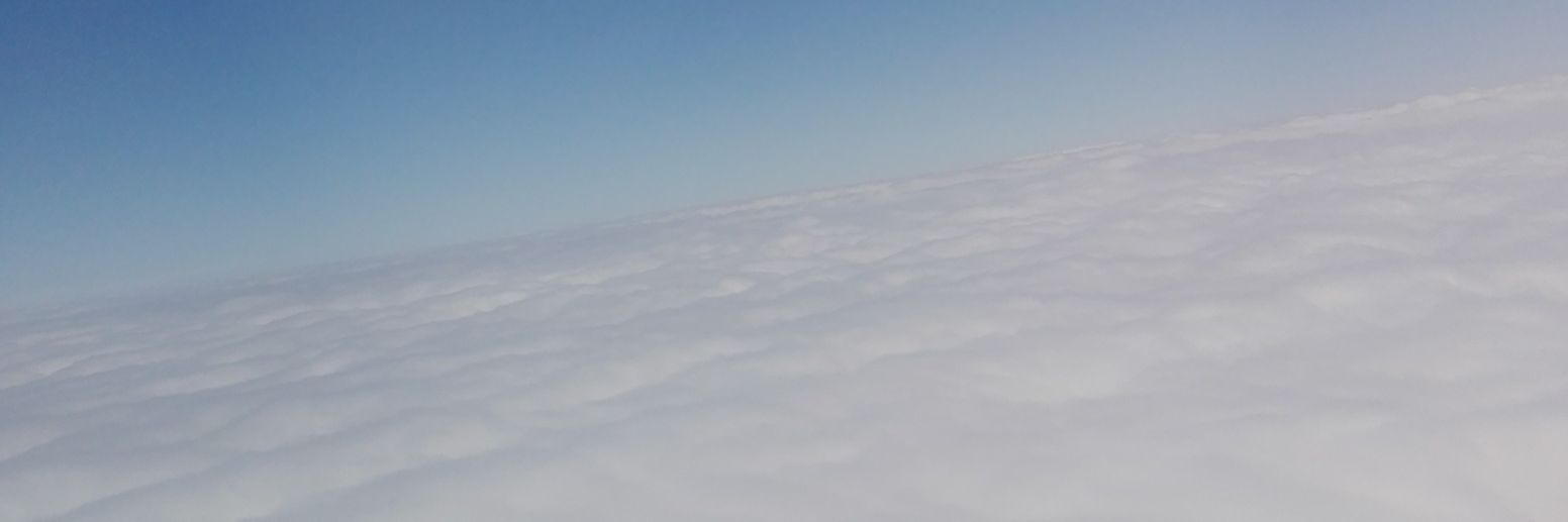 Solitaria ✨'s banner