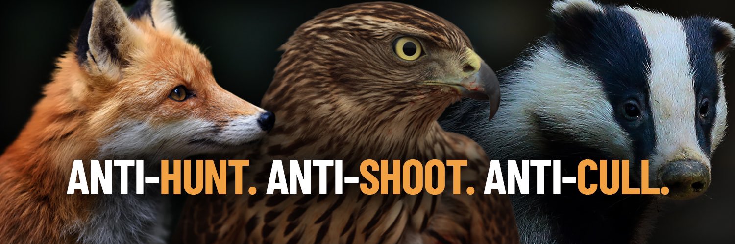 Protect the Wild's banner