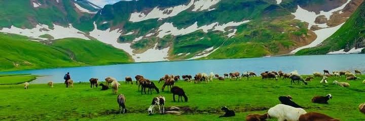 nature lover's banner