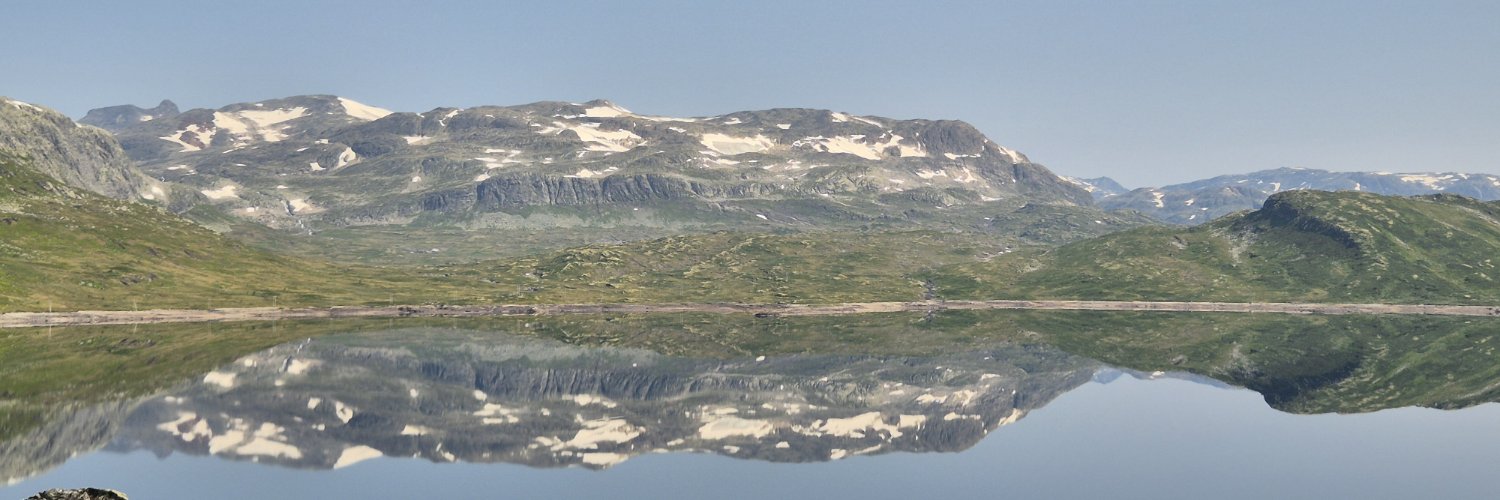 Alexander Kristensen's banner