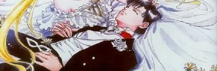 Sailor Moon 🌙's banner
