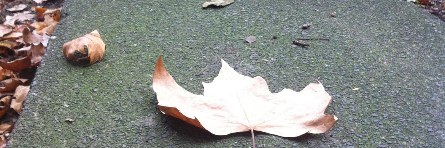 أسماء الراجح's banner