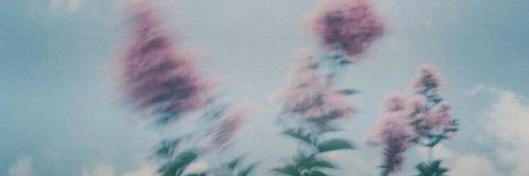 Denisse♡'s banner