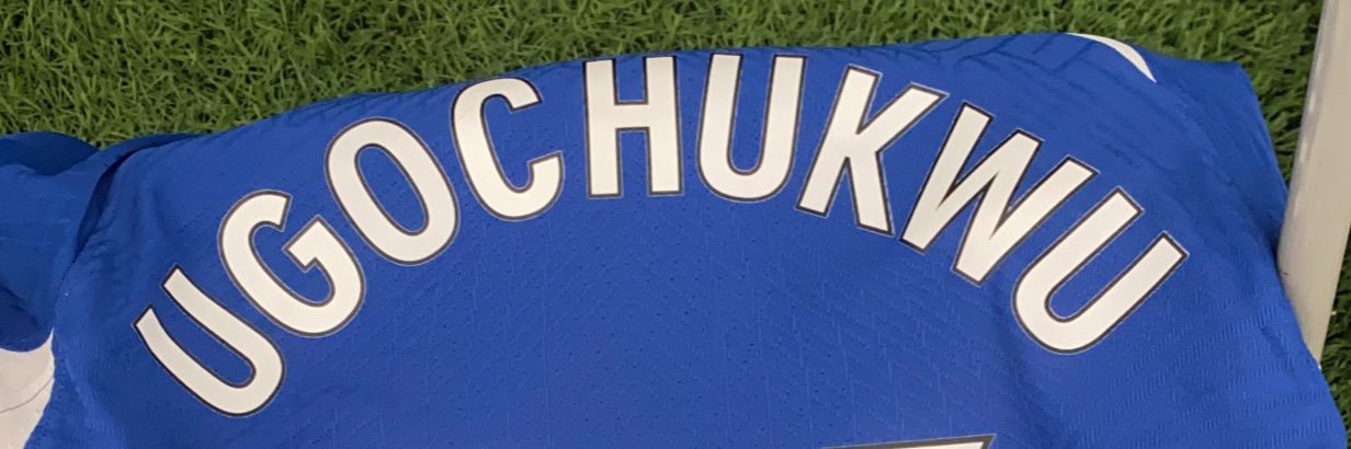 Lesley Ugochukwu's banner