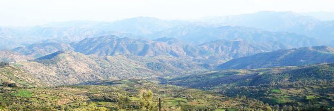 Ali Terrass's banner