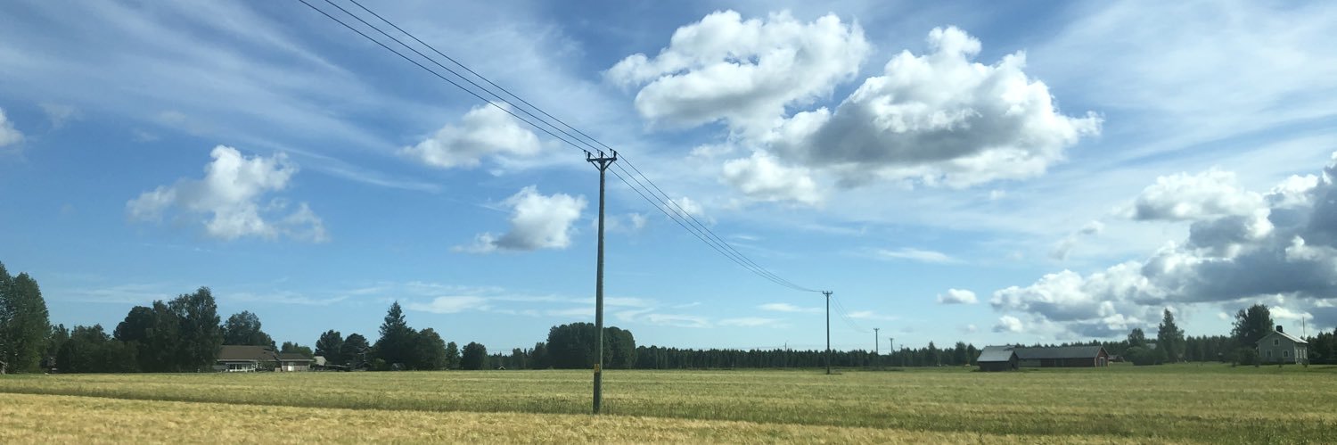 Mikke Ejrevi's banner