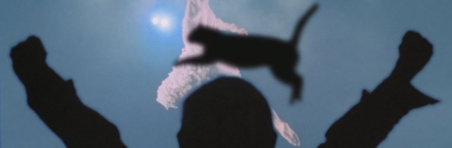 REST's banner