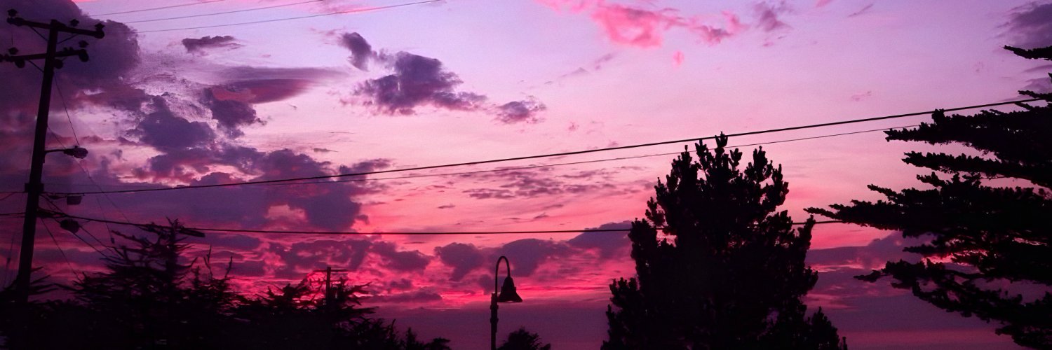 Vezaria 𓍢ִ໋🌺͙֒ ⋆'s banner