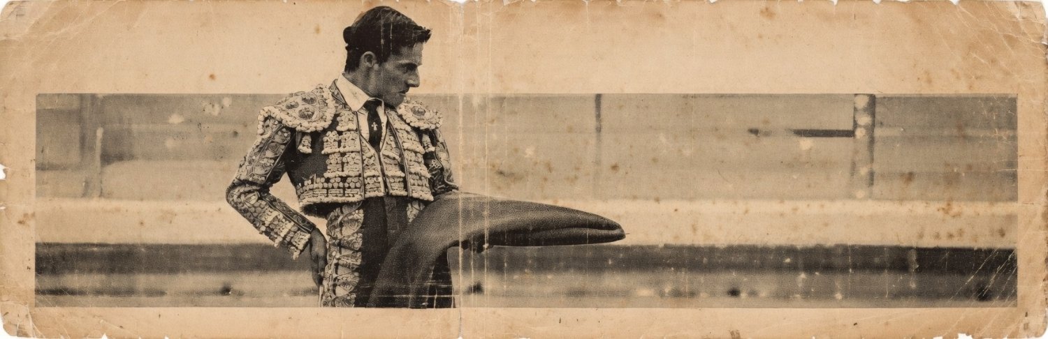 Diego Urdiales's banner