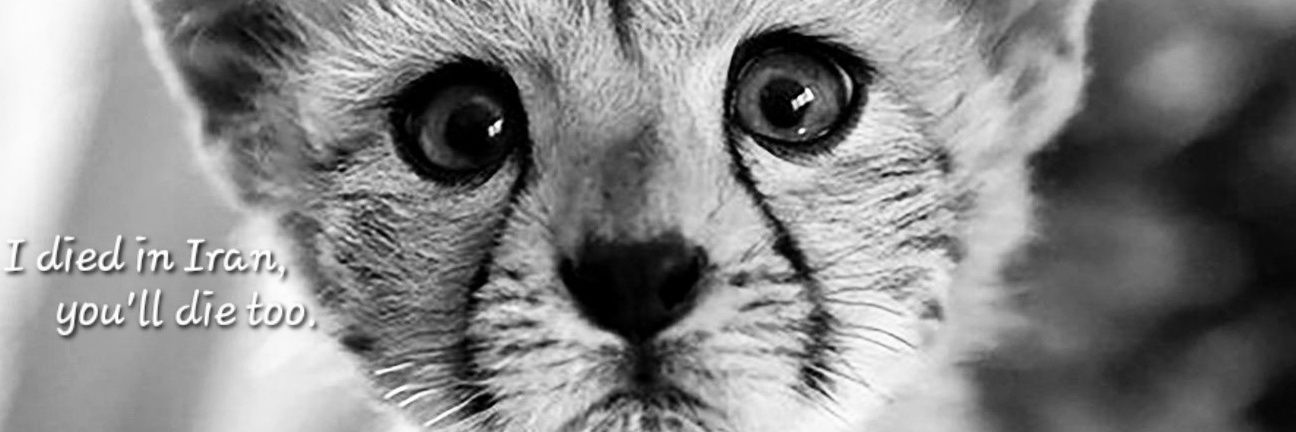 ~/mj's banner