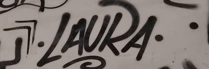Laura's banner