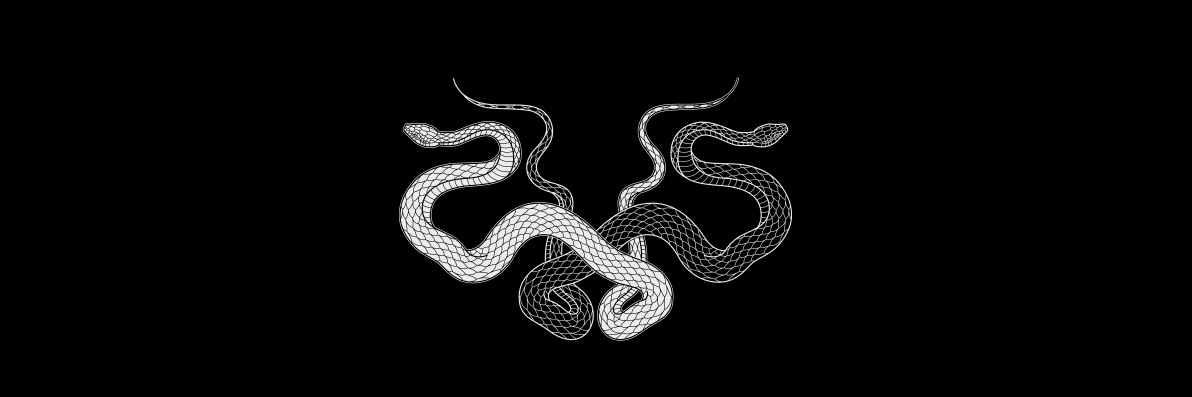 RYO Knosis's banner