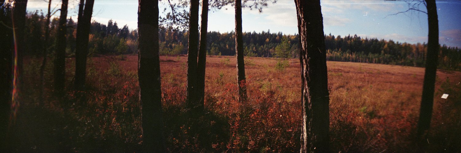 ваш любимый белогвардеец's banner