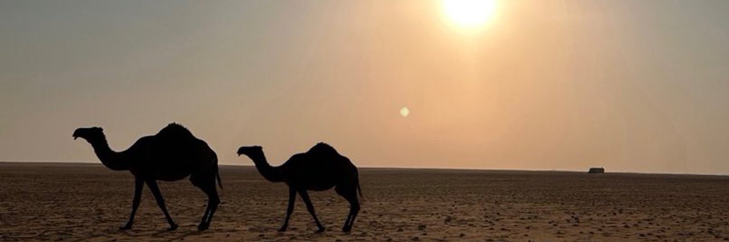 شبيه الريح's banner