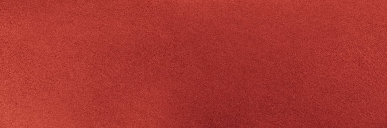 Dira Paes's banner