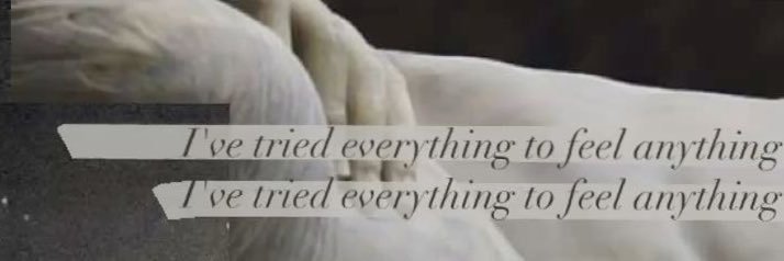 si ★'s banner