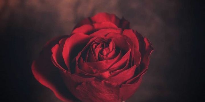 الهتان🌿🌧️'s banner
