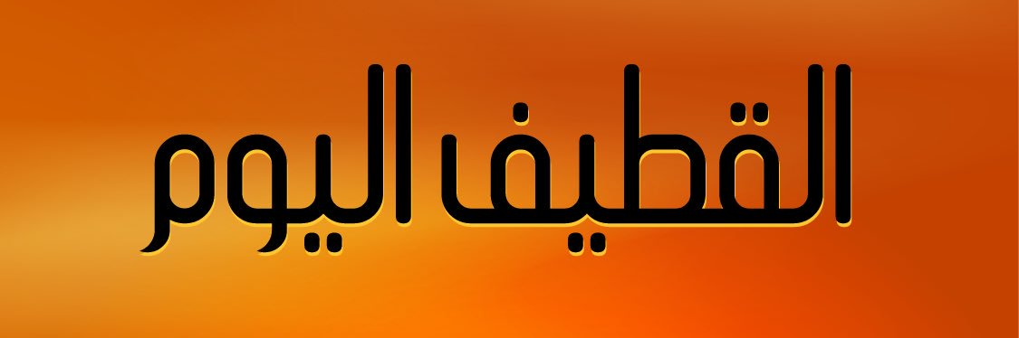 القطيف اليوم's banner