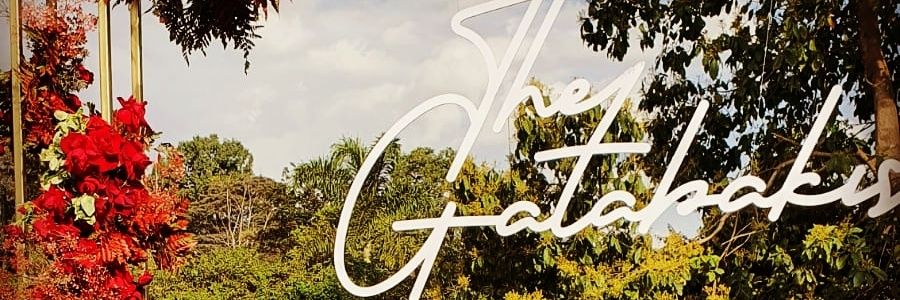 Paloma Gatabaki's banner