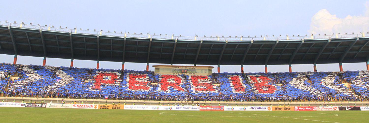 VIKING BOYS's banner