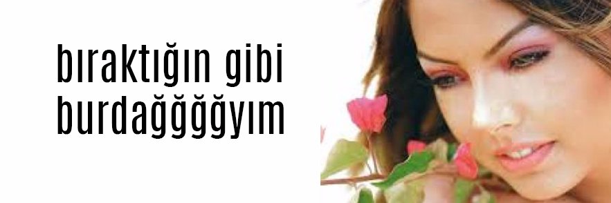z.'s banner