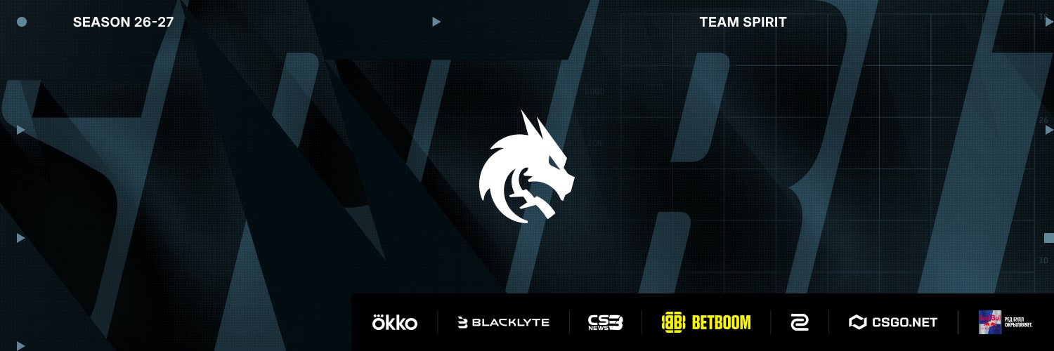 Team Spirit CS2's banner