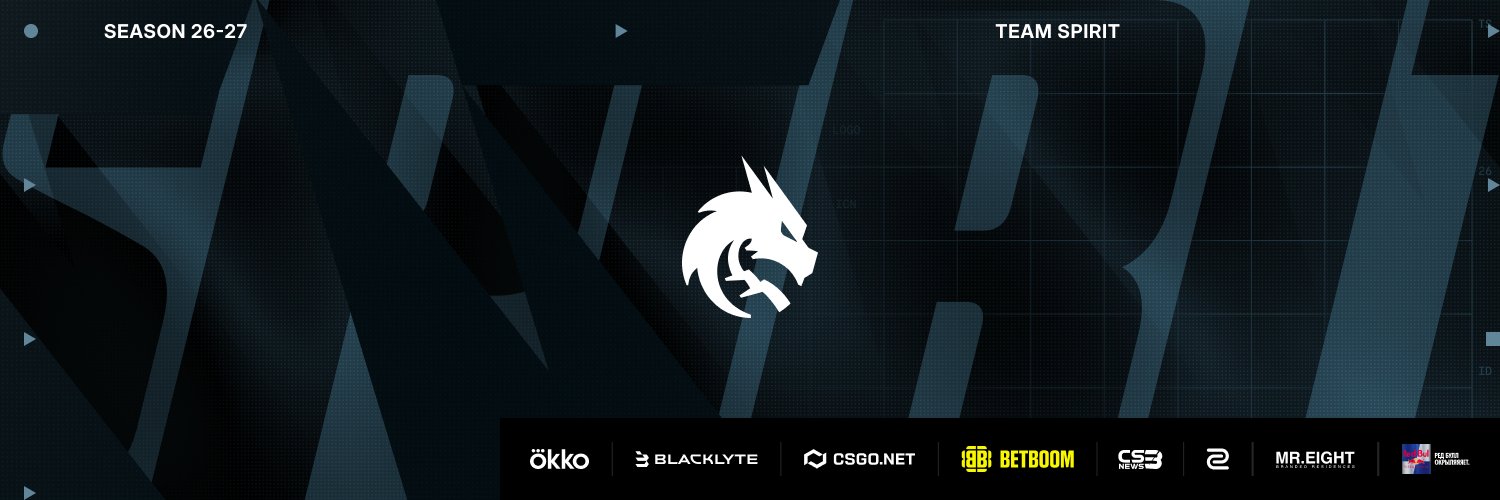 Team Spirit CS2's banner