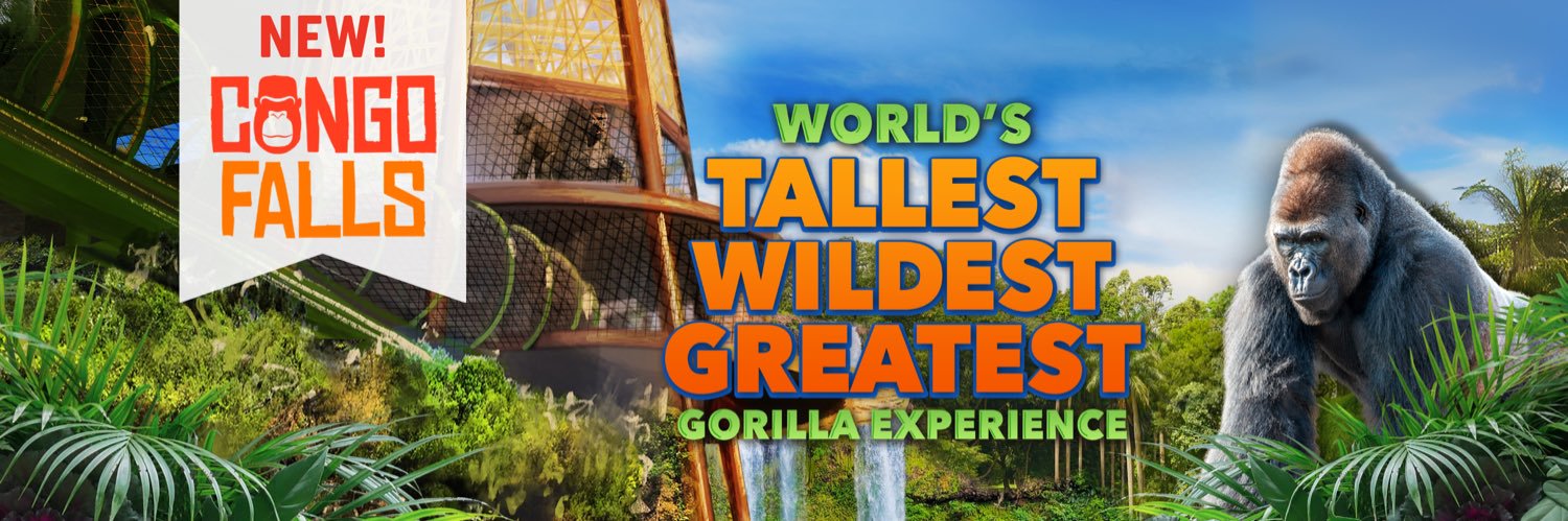 San Antonio Zoo 🦍's banner