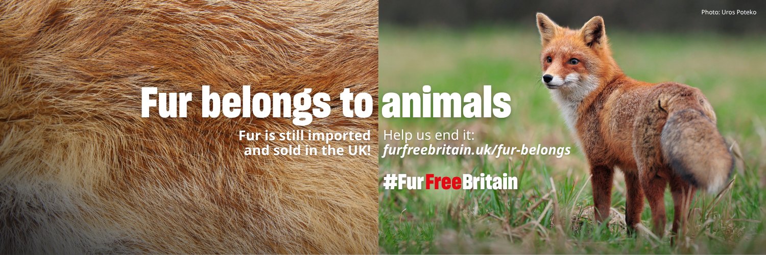 Humane World for Animals UK's banner